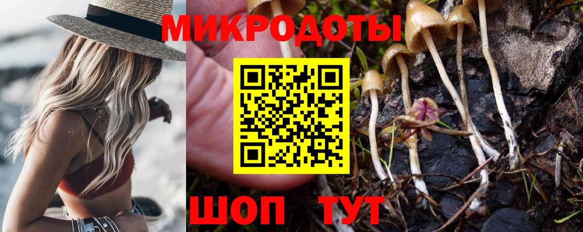 Псилоцибиновые грибы GOLDEN TEACHER Узловая